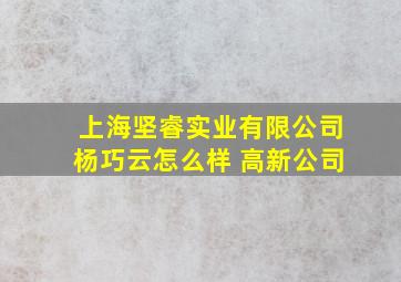 上海坚睿实业有限公司杨巧云怎么样 高新公司